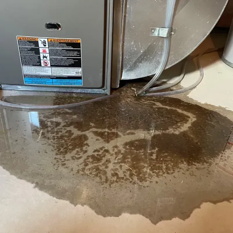 Appliance Leak Cleanup in Gregg County, TX